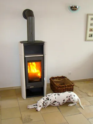 Kaminofen im Wohnraum